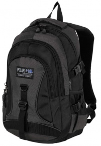 Polar 38099